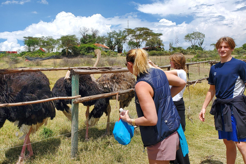 Nairobi: Lake Naivasha Boat Ride & Crescent Island Tour
