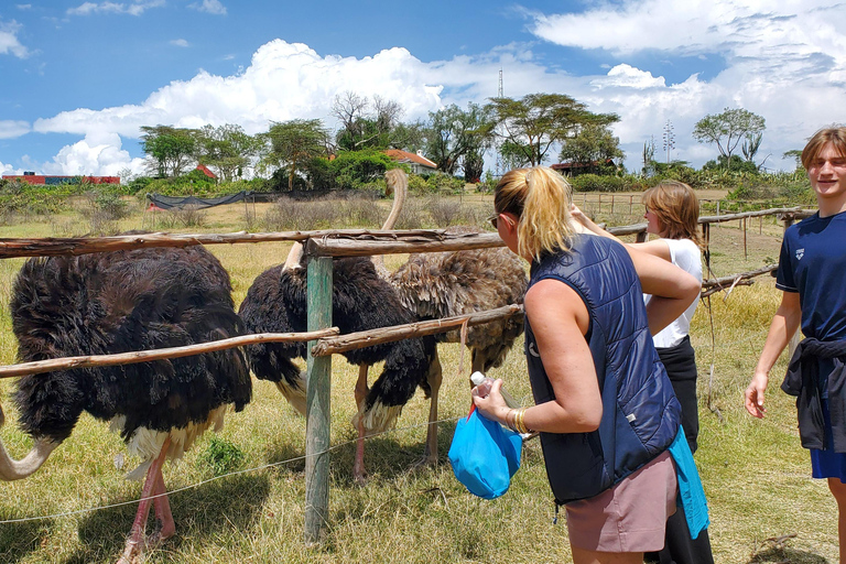 Nairobi: Lake Naivasha Boat Ride & Crescent Island Tour