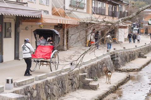 Hiroshima: Fredens stad-Privat tur med en lokal guide