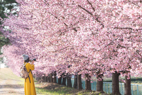 Tokio: Izu-schiereiland Trein Mt Omuro, Capibara-sightseeingtripGroepstour met 07:20 uur Meetup op het station van Tokio