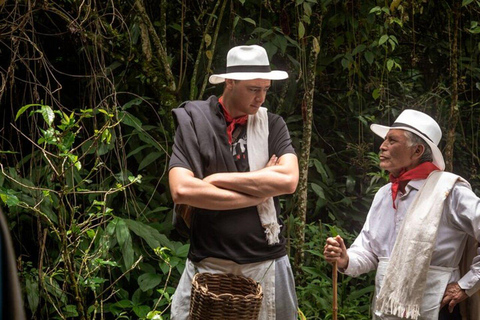 Coffee Tour from Medellin with Lunch and Coffee Tasting