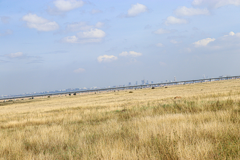 Privérondleiding door het Nairobi Nationaal Park