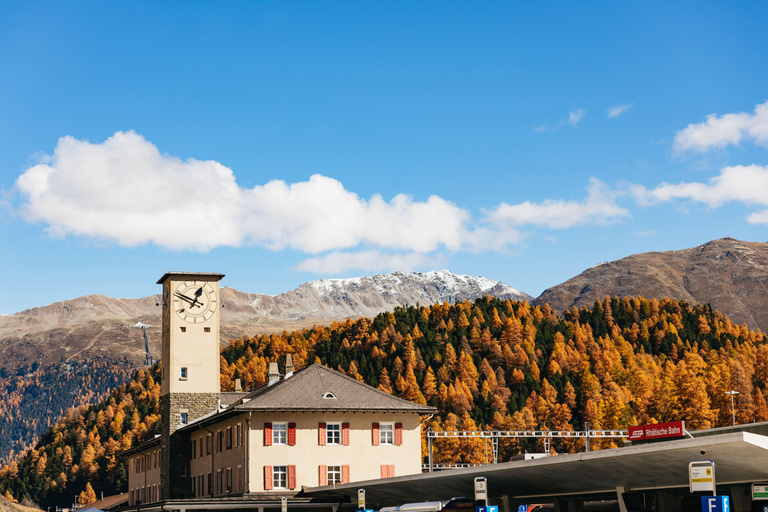 Swiss Alps by Train: Bernina & St. Moritz from Milan Tour with Standard Carriage