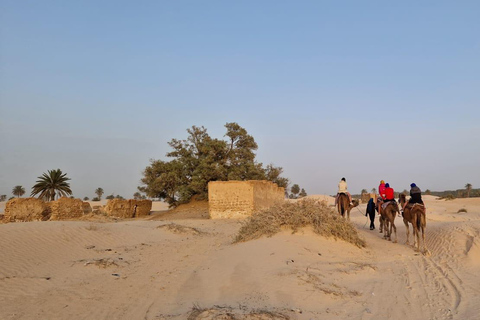 bivouac dans le desert