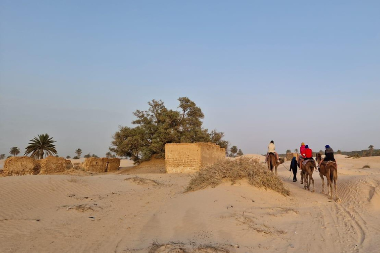 bivouac in the desert