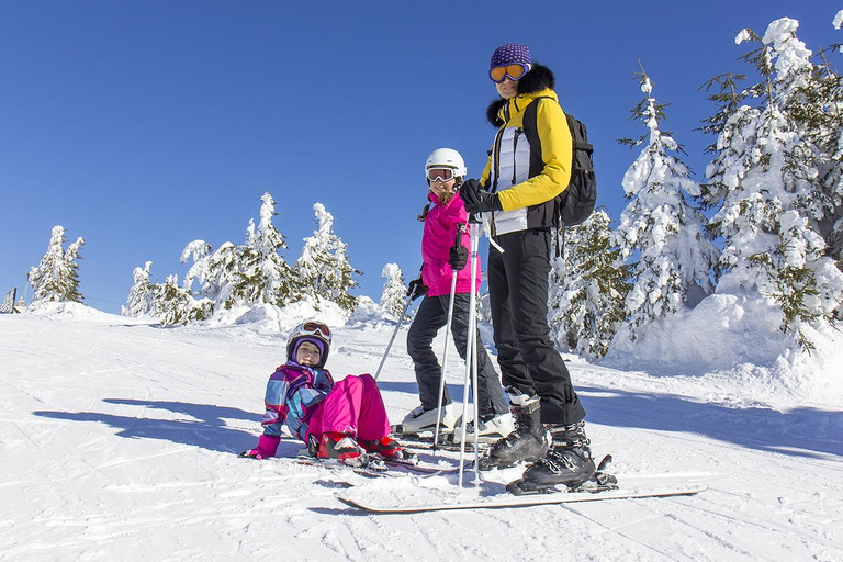 Busan: Muju Winter Hiking & Scenic Resort Day Trip C. Ski & Board Tour (Equipment Only) 7years▲