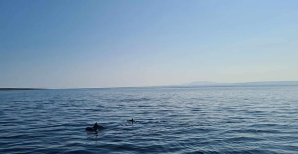 Rab: Zavratnica, Goli Otok und Sveti Grgur Bootstour Rab: Zavratnica, Goli Otok und Sveti Grgur Bootstour