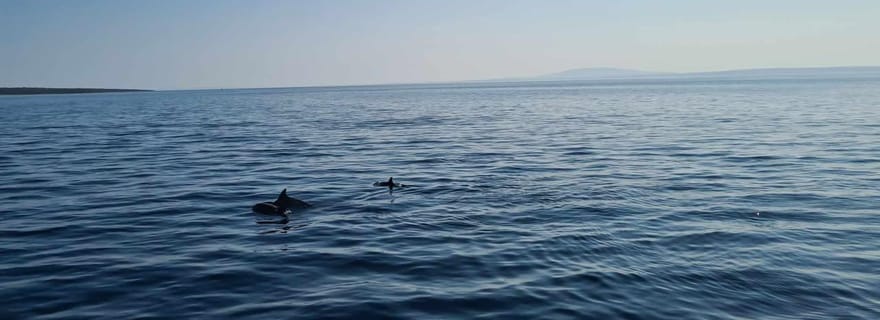 Rab : Zavratnica, Goli Otok et Sveti Grgur Tour en bateau