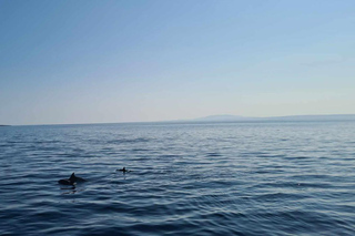 Rab: Zavratnica, Goli Otok and Sveti Grgur Boat Tour