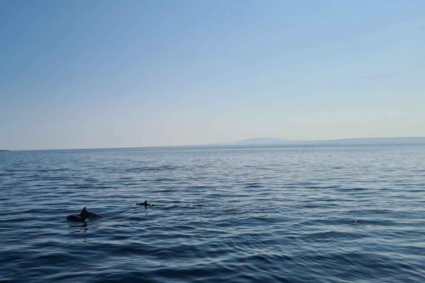 Rab: Zavratnica, Goli Otok and Sveti Grgur Boat Tour