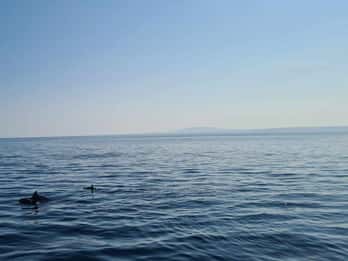 Rab: Zavratnica, Goli Otok und Sveti Grgur Bootstour