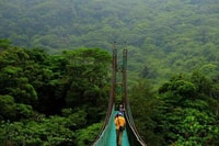 Ponts suspendus + jardin de papillons à Monteverde - Housity
