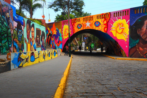 Lima : Tour of colourful and bohemian Barranco and Callao