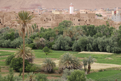 From Fes: 3-Day Merzouga Desert Tour to Marrakech Standard Desert Camp Experience (Shared Facilities)