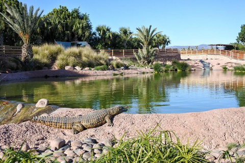 Agadir: Entreebewijs Crocopark &amp; Tour geit op boom zienOphaalservice vanaf Agadir