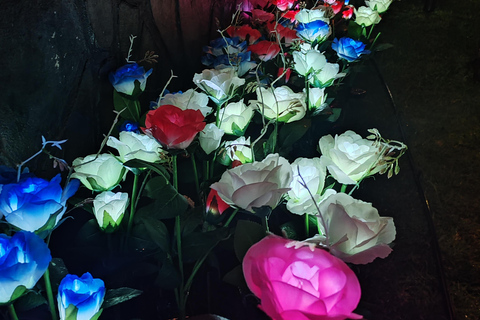 San José: Walk inside themed caves and dine at a viewpoint