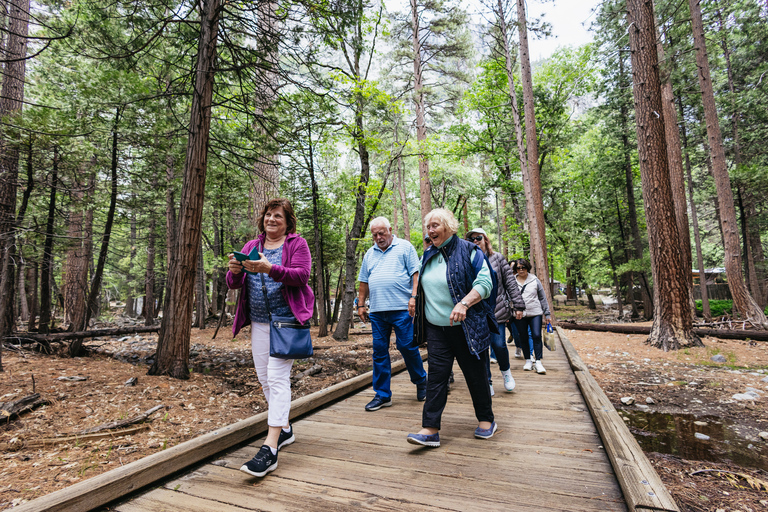 Ab San Francisco: Tour zum Yosemite NationalparkTour auf Englisch