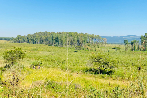 Eswatini: Guided Hike to Nyonyane Mountain - Execution Rock Minimum 2 Pax