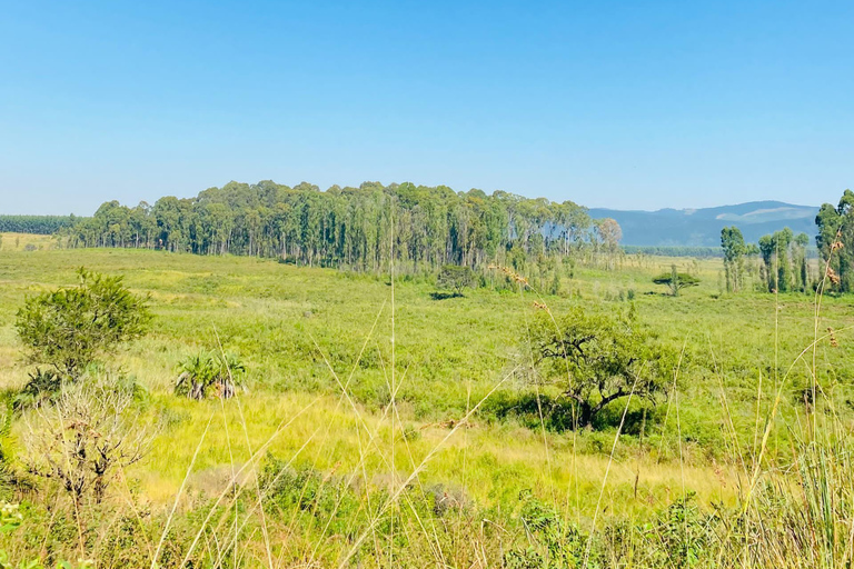 Eswatini: Guided Hike to Nyonyane Mountain - Execution Rock Minimum 2 Pax
