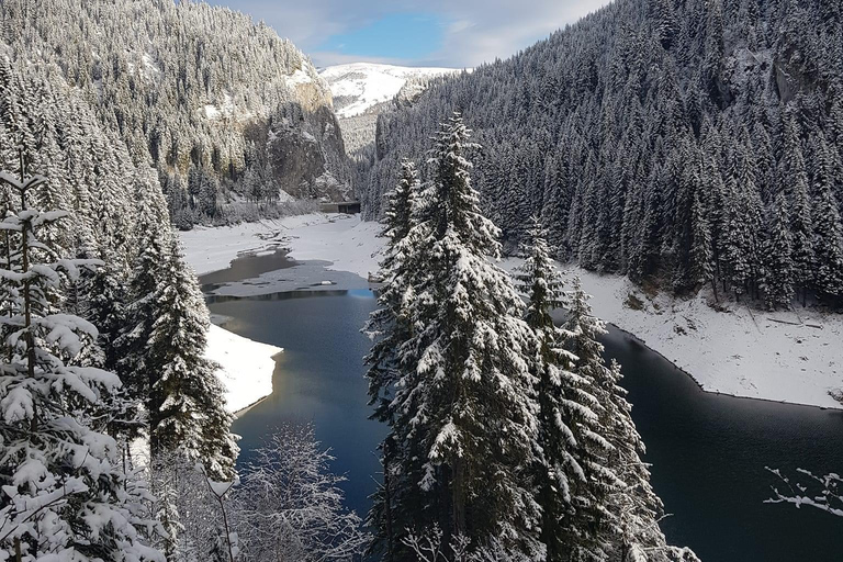 Sinaia: Ialomita Cave and Bucegi Mountains Tour