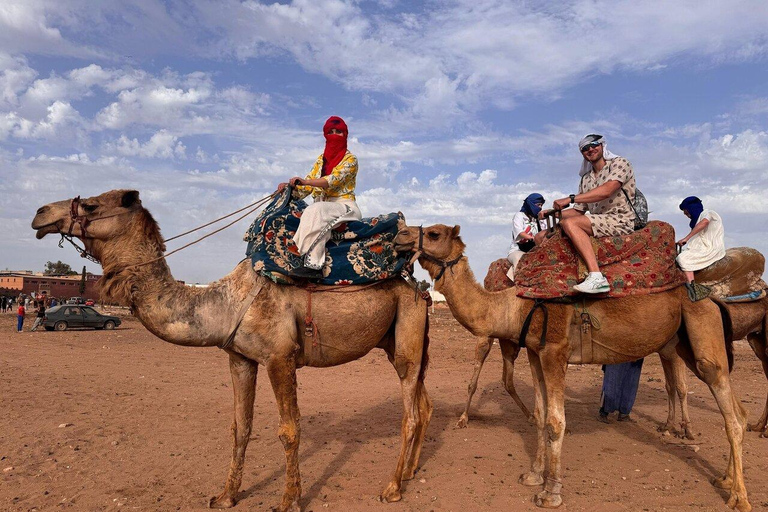 Agadir: Private Souss River Camel Ride with Pickup