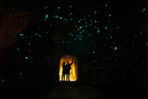 Rotorua: Glowworm Cave, Redwoods Forest & Te Puia Tour