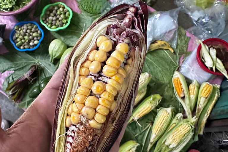 Oaxaca: From Tourist Markets to the Commercial Heart of Oaxaca