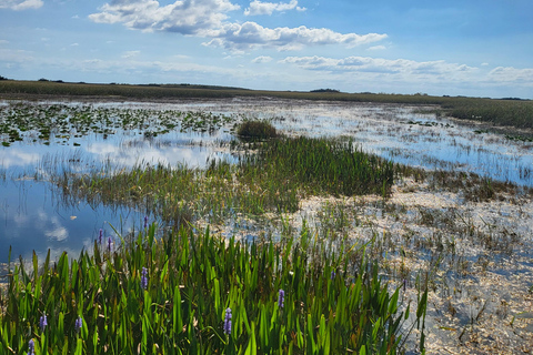 Everglades: boat tour with transportation& entrance included