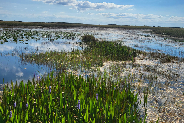 Everglades: tour en barco con transporte y entrada incluidos