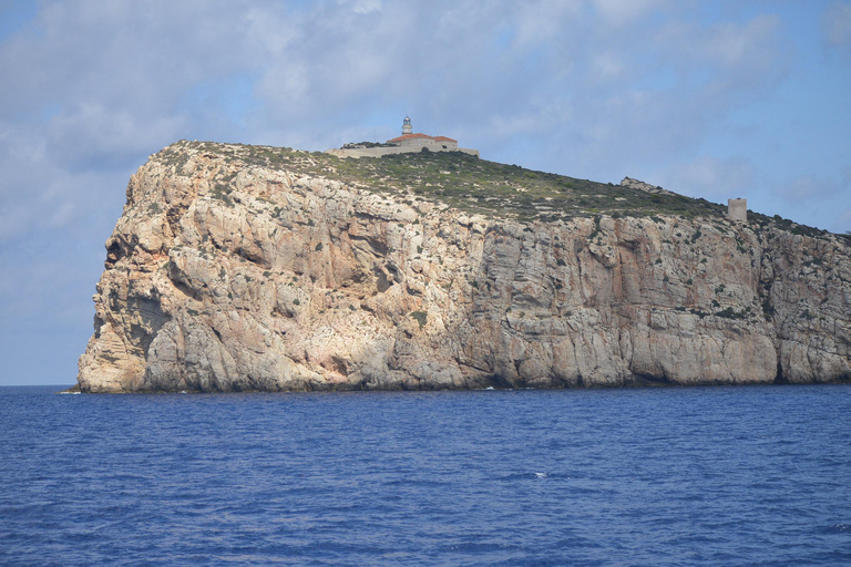 Mallorca: boottocht naar het eiland Dragonera met zwemstopTrefpunt Paguera