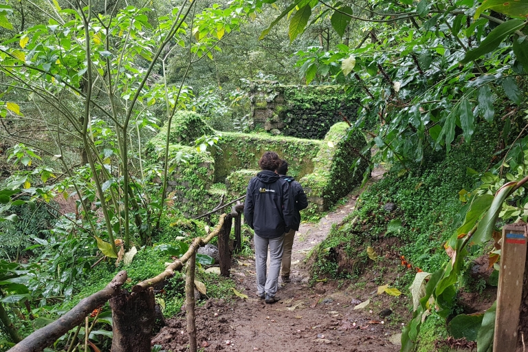 Lomba de São Pedro: Waterfall Hiking Tour with Tea Tasting
