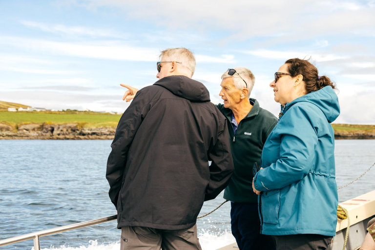Skellig Michael: Great Skellig Panoramic Boat Tour