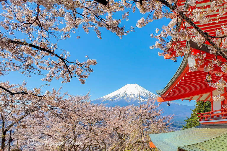 Depuis Tokyo : Excursion privée d'une journée au Mont Fuji et au lac Kawaguchiko