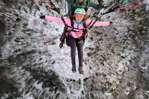 萨尔茨堡：双人滑翔伞飞行体验（含专业飞行员）萨尔茨堡：双人滑翔伞体验（含飞行员）