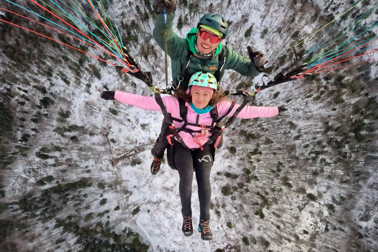 萨尔茨堡：双人滑翔伞飞行体验（含专业飞行员）萨尔茨堡：双人滑翔伞体验（含飞行员）