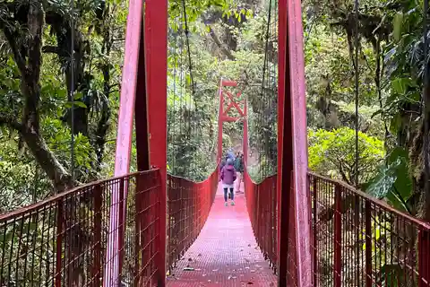 Monteverde: Cloud Forest Reserve Privat guidad tur