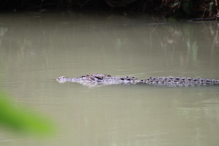 Peucang Island: 3-Day Ujung Kulon National Park EcoTour