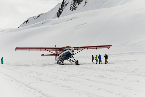 Talkeetna: رحلة جبلية مع هبوط اختياري على الجليدرحلة مع Glacier Landing