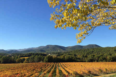 Aix y Marsella: Lo mejor del Luberon: Gordes y RousillonTour privado