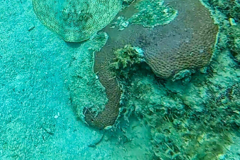 Cartagena: Barú and Rosario Islands Snorkeling Tour From Cartagena: Rosario Islands Snorkeling Tour