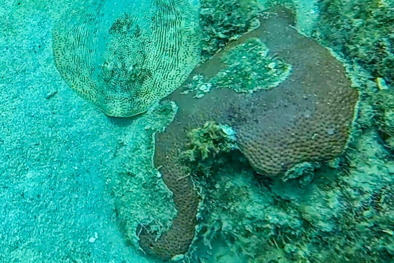 Cartagena: Barú and Rosario Islands Snorkeling Tour From Cartagena: Rosario Islands Snorkeling Tour