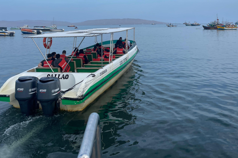 FULL DAY PARACAS - ICA