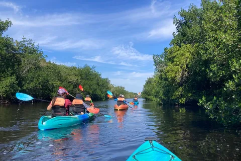 Miami Dagsutflykt med vandring och kajakpaddling i Everglades nationalpark