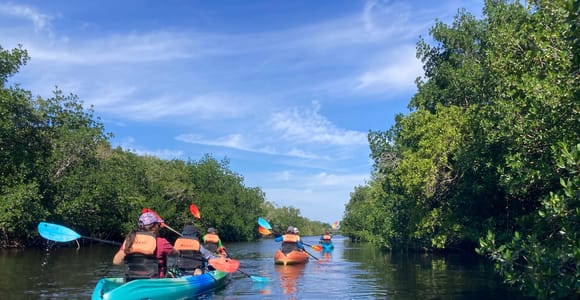 Miami: Kajak- und Wandertour im Everglades-Nationalpark