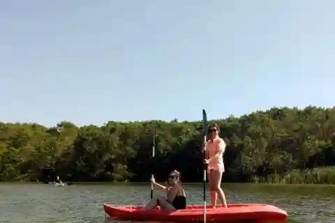 Merida: Kayaking and Bird Sanctuary in Sisal