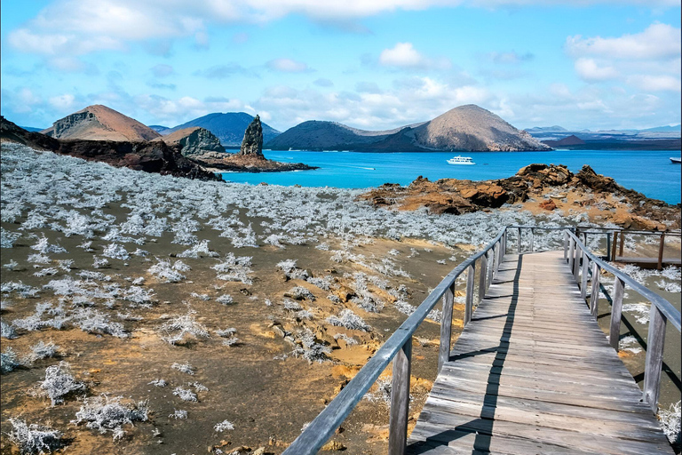 Bartolome Island Top Experience: Hike and Snorkel full day tour