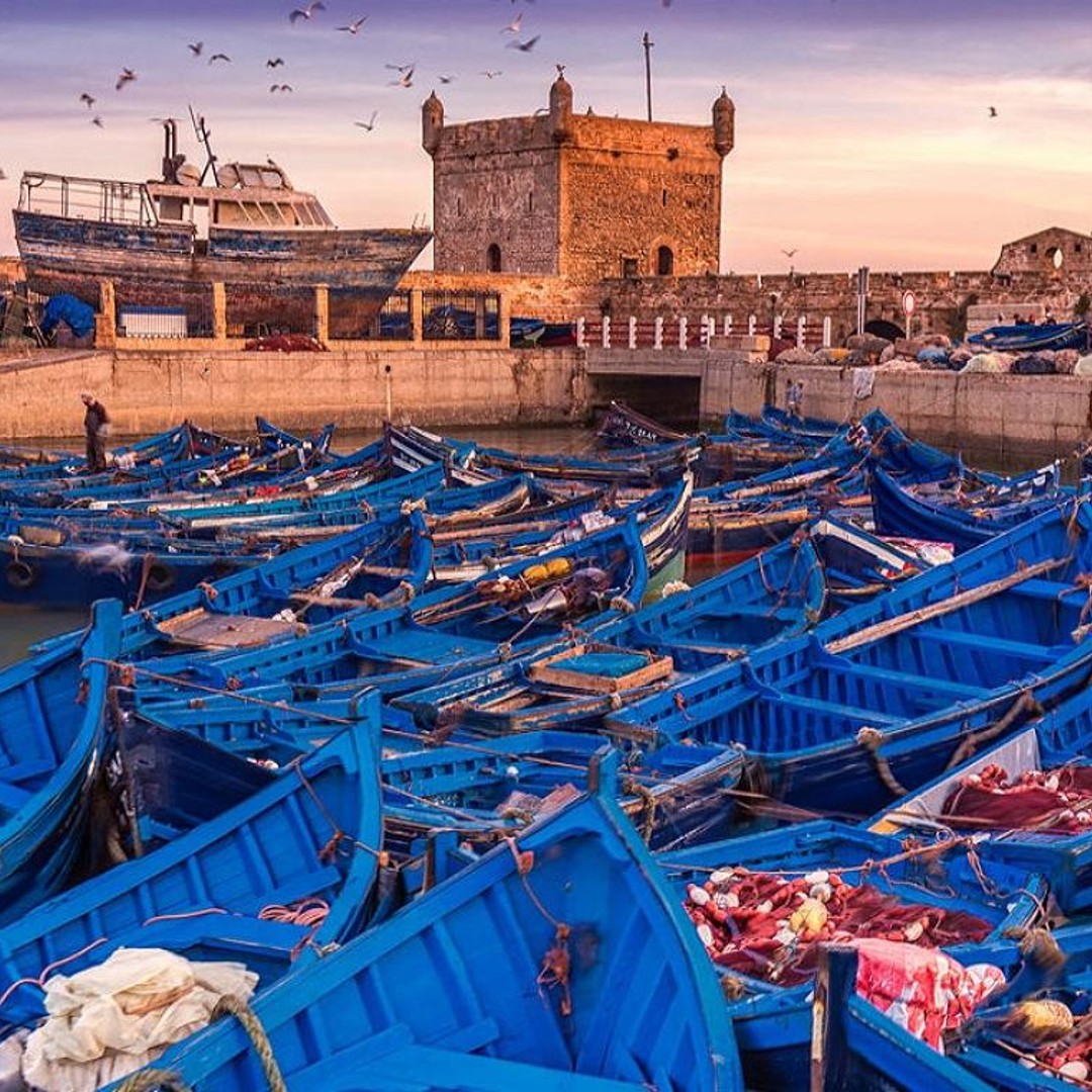 Essaouira et Skala : visite d'une journée avec déjeuner