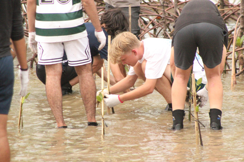 Bagek Kembar: Mangrove & Stingless Beekeeping Experience