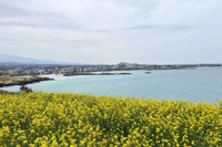 济州岛的东部，欣快的全天旅行 - Housity