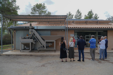 Mallorca Olive grove visit, Oil & Wine Tasting & Light Lunch Español Olive grove visit, olive oil and wine tasting, snack